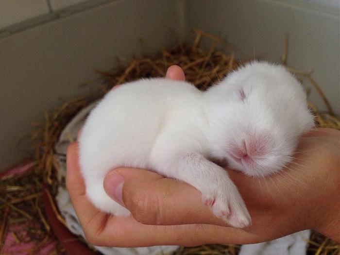 Klicke auf die Grafik fr eine grere Ansicht

Name:	image.jpg
Hits:	1
Gre:	38,1 KB
ID:	143873