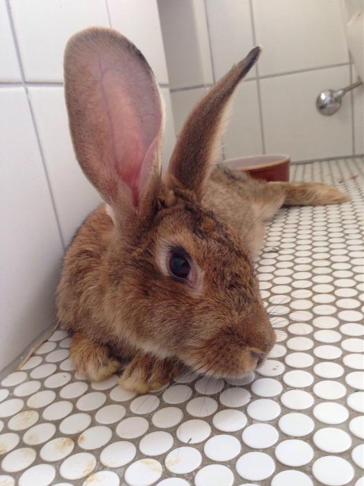 Klicke auf die Grafik fr eine grere Ansicht

Name:	image.jpg
Hits:	1
Gre:	37,3 KB
ID:	143876