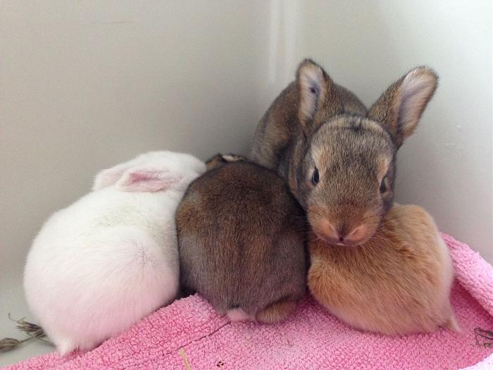 Klicke auf die Grafik fr eine grere Ansicht

Name:	image.jpg
Hits:	1
Gre:	50,8 KB
ID:	143878