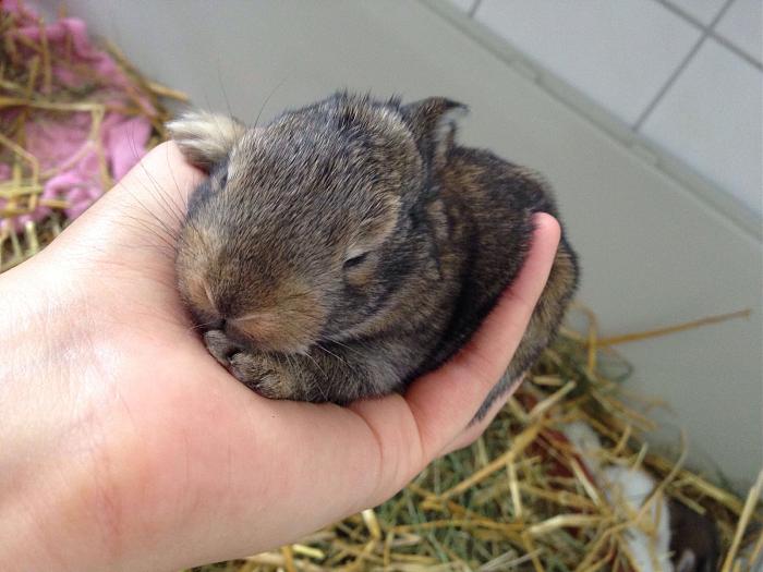 Klicke auf die Grafik fr eine grere Ansicht

Name:	image.jpg
Hits:	1
Gre:	52,9 KB
ID:	143879