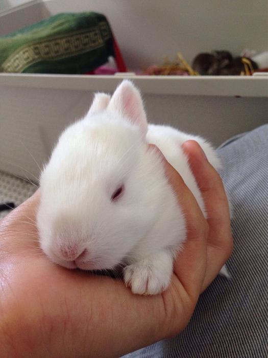 Klicke auf die Grafik fr eine grere Ansicht

Name:	image.jpg
Hits:	0
Gre:	27,1 KB
ID:	143880