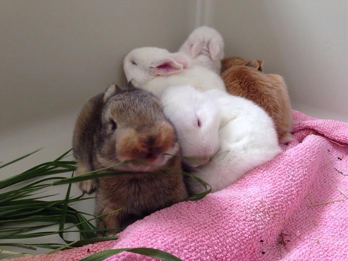 Klicke auf die Grafik fr eine grere Ansicht

Name:	image.jpg
Hits:	1
Gre:	55,9 KB
ID:	143881