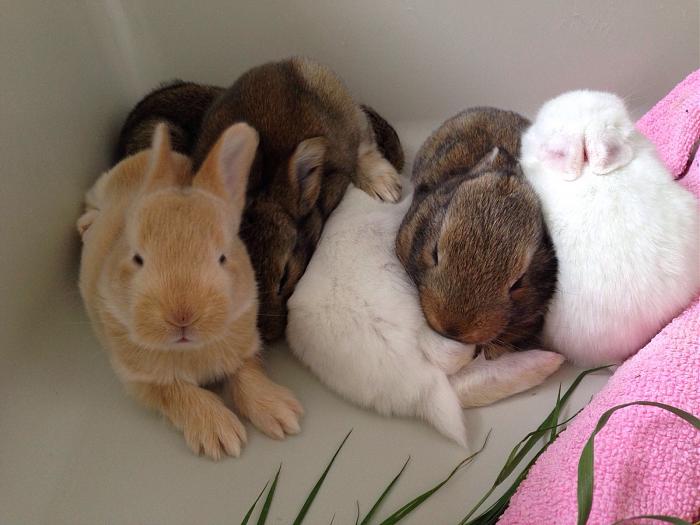 Klicke auf die Grafik fr eine grere Ansicht

Name:	image.jpg
Hits:	3
Gre:	49,3 KB
ID:	143883