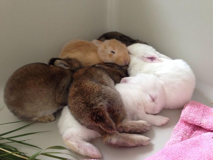 Klicke auf die Grafik fr eine grere Ansicht

Name:	image.jpg
Hits:	1
Gre:	45,8 KB
ID:	143884