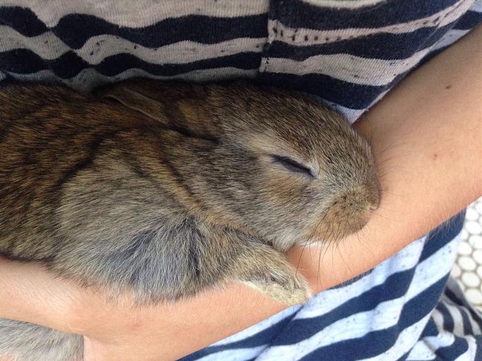 Klicke auf die Grafik fr eine grere Ansicht

Name:	image.jpg
Hits:	2
Gre:	79,4 KB
ID:	143885