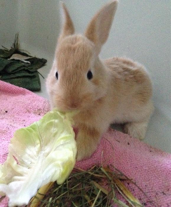 Klicke auf die Grafik fr eine grere Ansicht

Name:	image.jpg
Hits:	1
Gre:	39,7 KB
ID:	143886