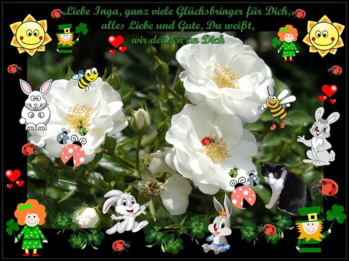 Klicke auf die Grafik fr eine grere Ansicht

Name:	Inga klein.jpg
Hits:	1
Gre:	69,2 KB
ID:	145389