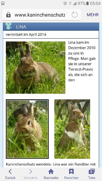 Klicke auf die Grafik fr eine grere Ansicht

Name:	14717152_1141455655942702_1399090486278919003_n.jpg
Hits:	0
Gre:	40,1 KB
ID:	145977