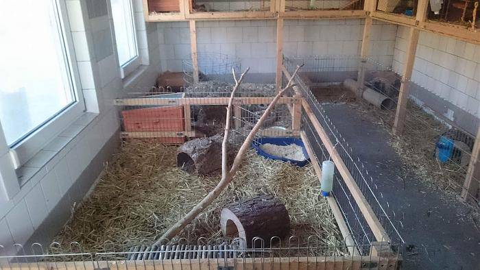 Klicke auf die Grafik f�r eine gr��ere Ansicht

Name:	received_1817527035132099.jpg
Hits:	0
Gr��e:	59,9 KB
ID:	147941