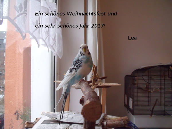 Klicke auf die Grafik fr eine grere Ansicht

Name:	lea-7-1216.jpg
Hits:	127
Gre:	69,4 KB
ID:	148385