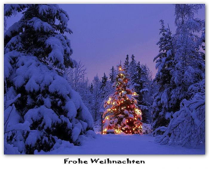 Klicke auf die Grafik fr eine grere Ansicht

Name:	frohe-weihnachten-d0032997-6d65-4467-9263-439bdbc8f2c0.jpg
Hits:	1
Gre:	73,3 KB
ID:	148669