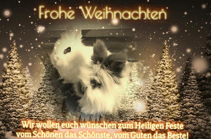 Klicke auf die Grafik fr eine grere Ansicht

Name:	PhotoText-1482538590436.jpg
Hits:	4
Gre:	81,4 KB
ID:	148772