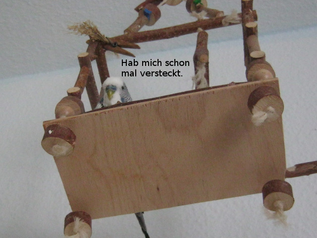 Klicke auf die Grafik fr eine grere Ansicht

Name:	versteckt.jpg
Hits:	79
Gre:	70,8 KB
ID:	148958