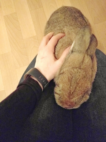 Klicke auf die Grafik f�r eine gr��ere Ansicht

Name:	jule.jpg
Hits:	309
Gr��e:	119,8 KB
ID:	149052