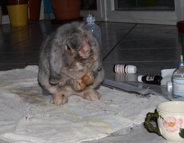 Klicke auf die Grafik fr eine grere Ansicht

Name:	7.jpg
Hits:	5
Gre:	35,5 KB
ID:	149510