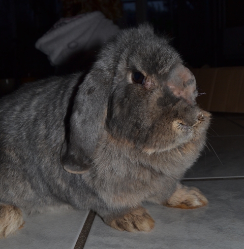 Klicke auf die Grafik fr eine grere Ansicht

Name:	8.jpg
Hits:	2
Gre:	23,7 KB
ID:	149511