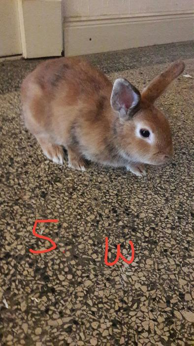 Klicke auf die Grafik f�r eine gr��ere Ansicht

Name:	F9.jpg
Hits:	0
Gr��e:	43,3 KB
ID:	150757