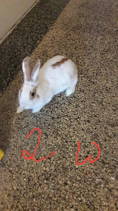Klicke auf die Grafik f�r eine gr��ere Ansicht

Name:	F8.jpg
Hits:	0
Gr��e:	45,3 KB
ID:	150758