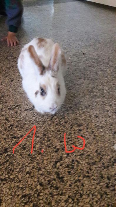 Klicke auf die Grafik f�r eine gr��ere Ansicht

Name:	F7.jpg
Hits:	0
Gr��e:	38,3 KB
ID:	150759