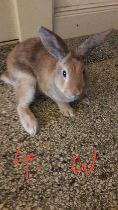 Klicke auf die Grafik f�r eine gr��ere Ansicht

Name:	F6.jpg
Hits:	0
Gr��e:	37,3 KB
ID:	150760