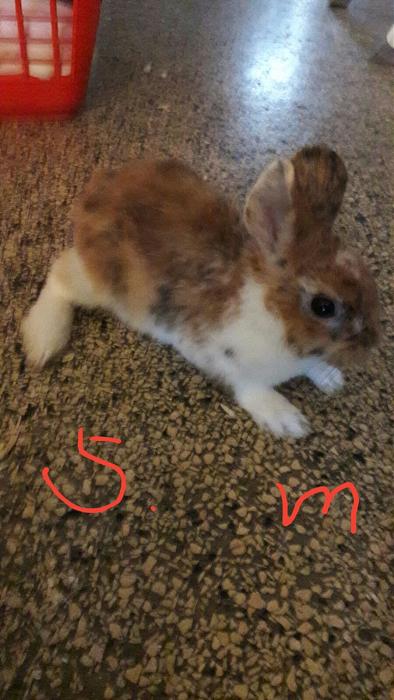 Klicke auf die Grafik f�r eine gr��ere Ansicht

Name:	F5.jpg
Hits:	0
Gr��e:	34,3 KB
ID:	150761