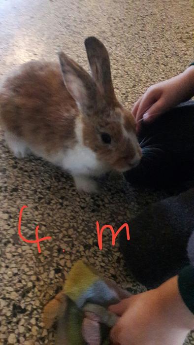 Klicke auf die Grafik f�r eine gr��ere Ansicht

Name:	f1.jpg
Hits:	0
Gr��e:	29,8 KB
ID:	150765