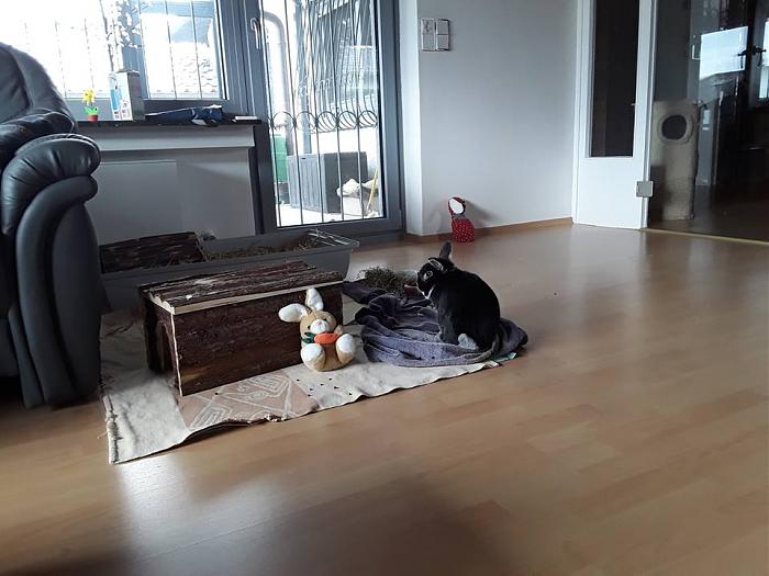 Klicke auf die Grafik f�r eine gr��ere Ansicht

Name:	Brezel.jpg
Hits:	0
Gr��e:	52,5 KB
ID:	154281