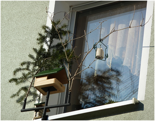 Klicke auf die Grafik fr eine grere Ansicht

Name:	fensterfutterplatz01.jpg
Hits:	2
Gre:	38,8 KB
ID:	156854