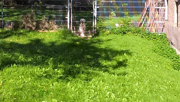 Klicke auf die Grafik fr eine grere Ansicht

Name:	WP_20170910_17_14_45_Pro.jpg
Hits:	1
Gre:	127,0 KB
ID:	159081