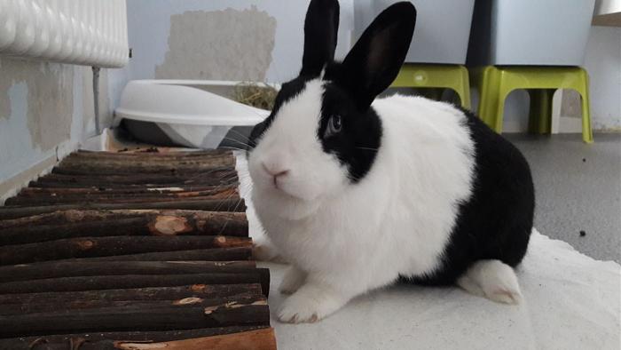 Klicke auf die Grafik f�r eine gr��ere Ansicht

Name:	IMG-20171103-WA0006.jpg
Hits:	0
Gr��e:	34,7 KB
ID:	160736