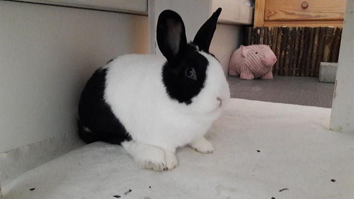 Klicke auf die Grafik f�r eine gr��ere Ansicht

Name:	IMG-20171113-WA0001.jpg
Hits:	0
Gr��e:	29,0 KB
ID:	160962