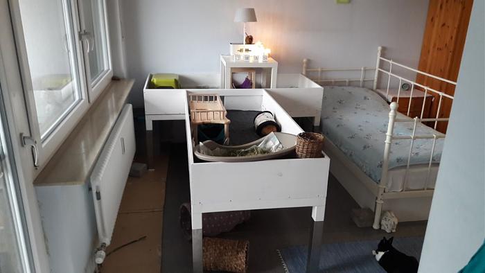 Klicke auf die Grafik fr eine grere Ansicht

Name:	IMG-20171203-WA0002.jpg
Hits:	3
Gre:	37,0 KB
ID:	161399