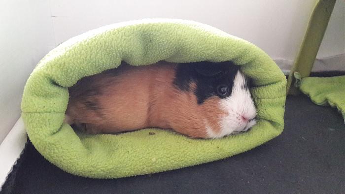 Klicke auf die Grafik fr eine grere Ansicht

Name:	IMG-20171203-WA0006.jpg
Hits:	0
Gre:	38,2 KB
ID:	161402