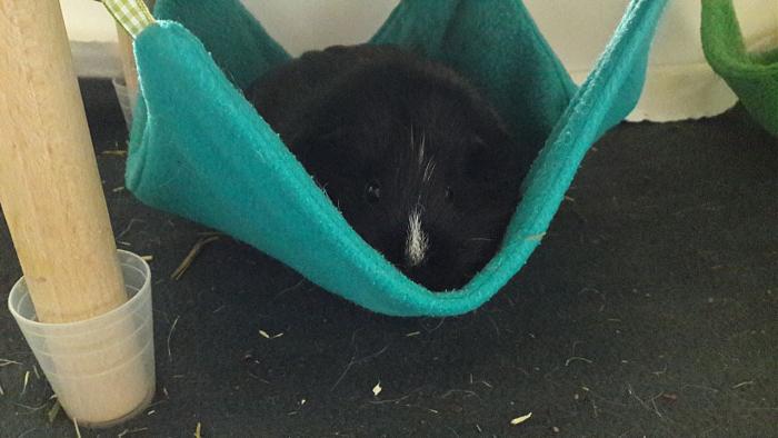 Klicke auf die Grafik fr eine grere Ansicht

Name:	IMG-20171203-WA0005.jpg
Hits:	0
Gre:	38,9 KB
ID:	161404