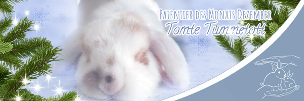 Klicke auf die Grafik fr eine grere Ansicht

Name:	tomte_600o5jbh.jpg
Hits:	85
Gre:	57,6 KB
ID:	161511