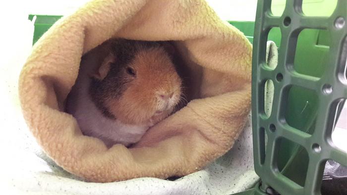 Klicke auf die Grafik fr eine grere Ansicht

Name:	IMG-20171206-WA0003.jpg
Hits:	0
Gre:	39,1 KB
ID:	161594