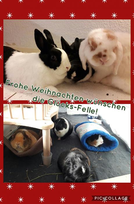 Klicke auf die Grafik fr eine grere Ansicht

Name:	Collage 2017-12-17 08_33_35.jpg
Hits:	0
Gre:	38,3 KB
ID:	162008