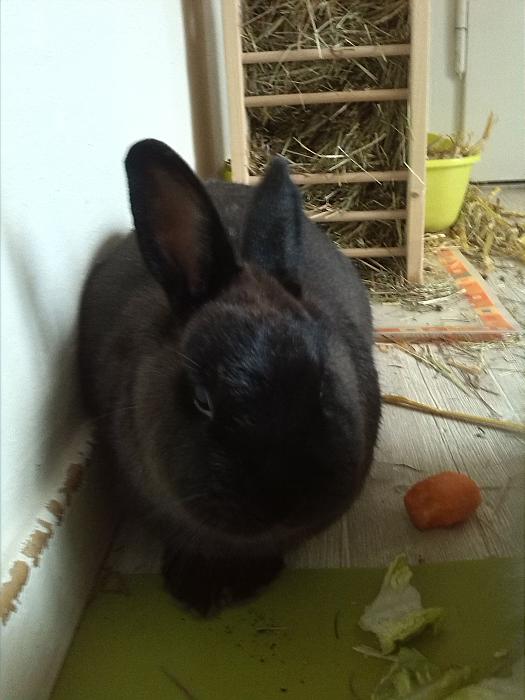 Klicke auf die Grafik für eine größere Ansicht
Name:	IMG_20150110_101740.jpg
Hits:	0
Größe:	29,7 KB
ID:	162484