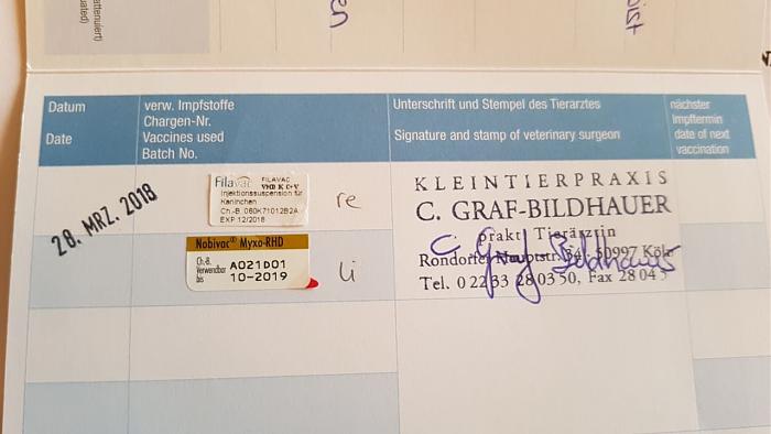 Klicke auf die Grafik f�r eine gr��ere Ansicht

Name:	180328 Ohretta Impfung.jpg
Hits:	0
Gr��e:	32,9 KB
ID:	164568