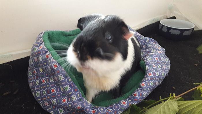 Klicke auf die Grafik f�r eine gr��ere Ansicht

Name:	IMG-20180421-WA0002.jpg
Hits:	0
Gr��e:	44,3 KB
ID:	165023