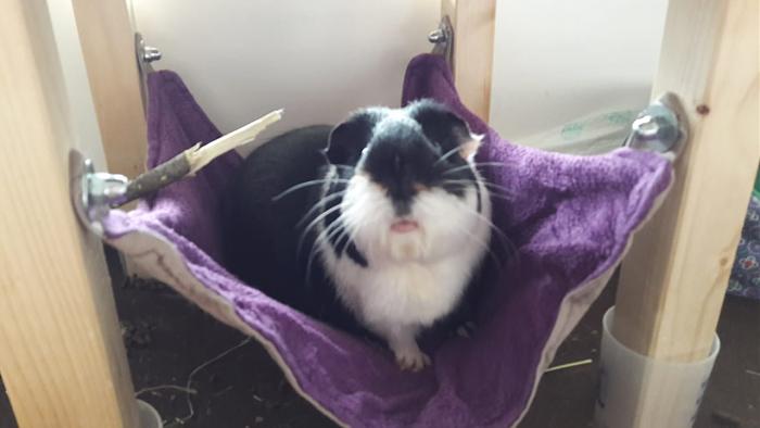 Klicke auf die Grafik f�r eine gr��ere Ansicht

Name:	IMG-20180512-WA0000.jpg
Hits:	0
Gr��e:	31,3 KB
ID:	165481