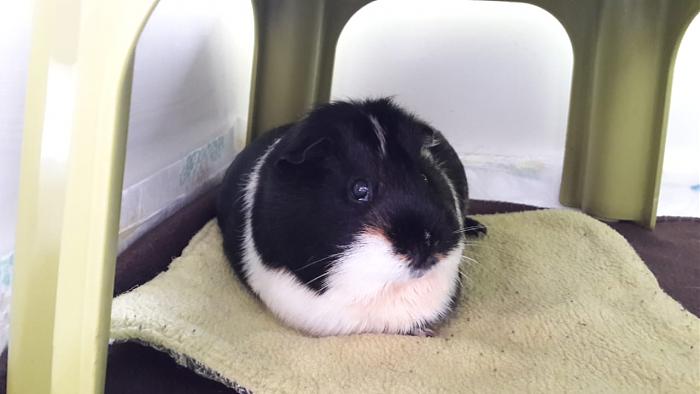 Klicke auf die Grafik f�r eine gr��ere Ansicht

Name:	IMG-20180515-WA0000.jpg
Hits:	0
Gr��e:	33,0 KB
ID:	165643