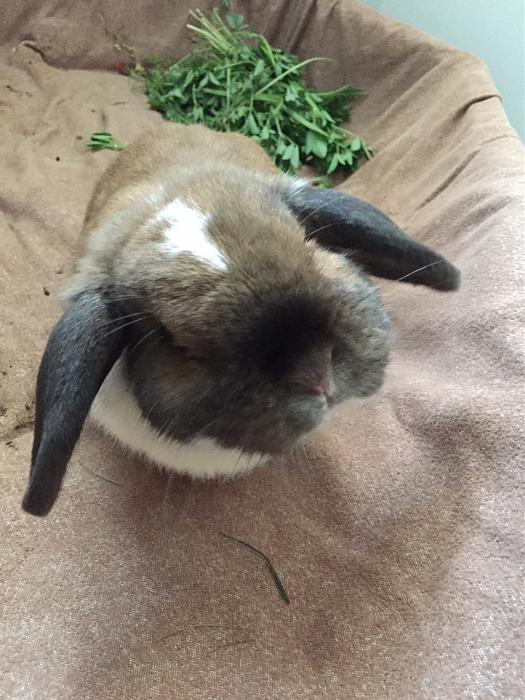 Klicke auf die Grafik f�r eine gr��ere Ansicht

Name:	Lott-Claudia.jpg
Hits:	2
Gr��e:	42,8 KB
ID:	165724