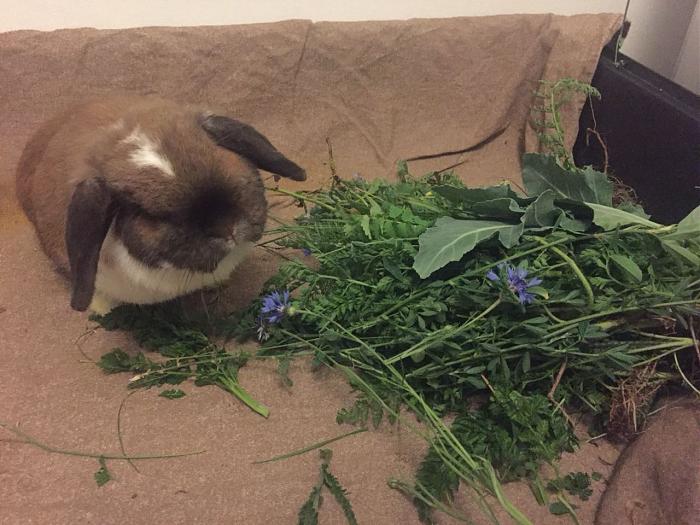 Klicke auf die Grafik f�r eine gr��ere Ansicht

Name:	Lotti-01.jpg
Hits:	0
Gr��e:	68,2 KB
ID:	165892