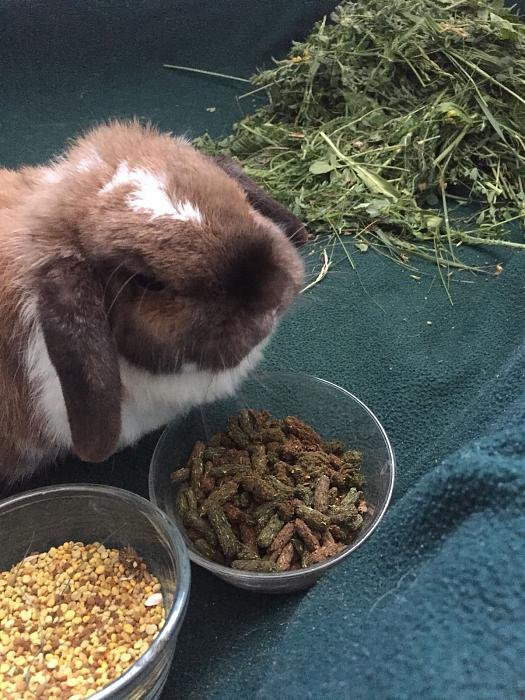 Klicke auf die Grafik f�r eine gr��ere Ansicht

Name:	Lotti-ClaudiaS-04.jpg
Hits:	2
Gr��e:	51,9 KB
ID:	166052