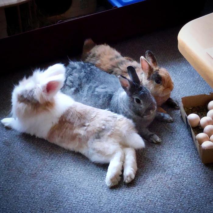 Klicke auf die Grafik fr eine grere Ansicht

Name:	IMG_20180801_192810_907.jpg
Hits:	0
Gre:	52,6 KB
ID:	167631