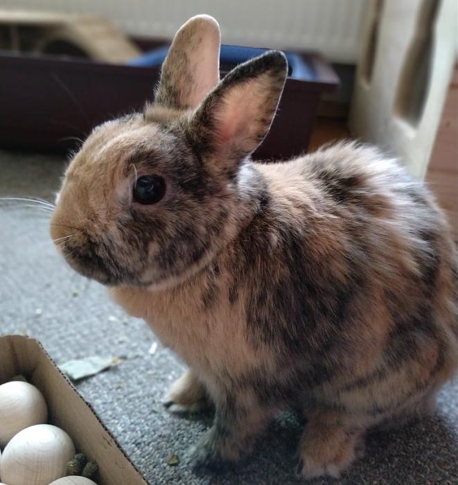 Klicke auf die Grafik fr eine grere Ansicht

Name:	IMG_20180804_075343_487~01.jpg
Hits:	1
Gre:	42,3 KB
ID:	167633