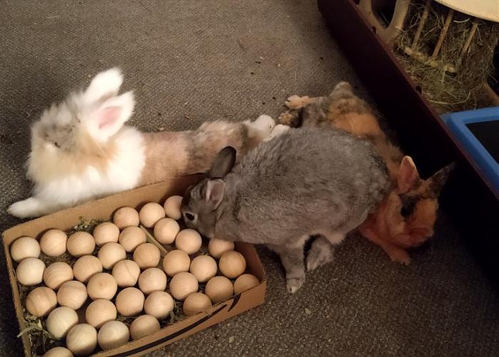 Klicke auf die Grafik fr eine grere Ansicht

Name:	IMG_20180804_004819_538~01.jpg
Hits:	0
Gre:	116,2 KB
ID:	167634