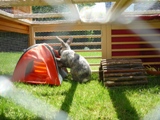 Klicke auf die Grafik fr eine grere Ansicht

Name:	Sommer 360.jpg
Hits:	142
Gre:	25,1 KB
ID:	16772