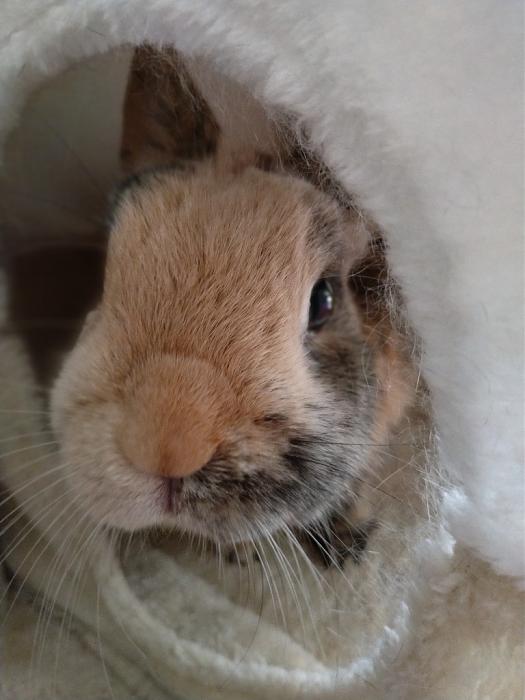 Klicke auf die Grafik fr eine grere Ansicht

Name:	IMG_20180916_131056_279~01.jpg
Hits:	0
Gre:	27,6 KB
ID:	169068